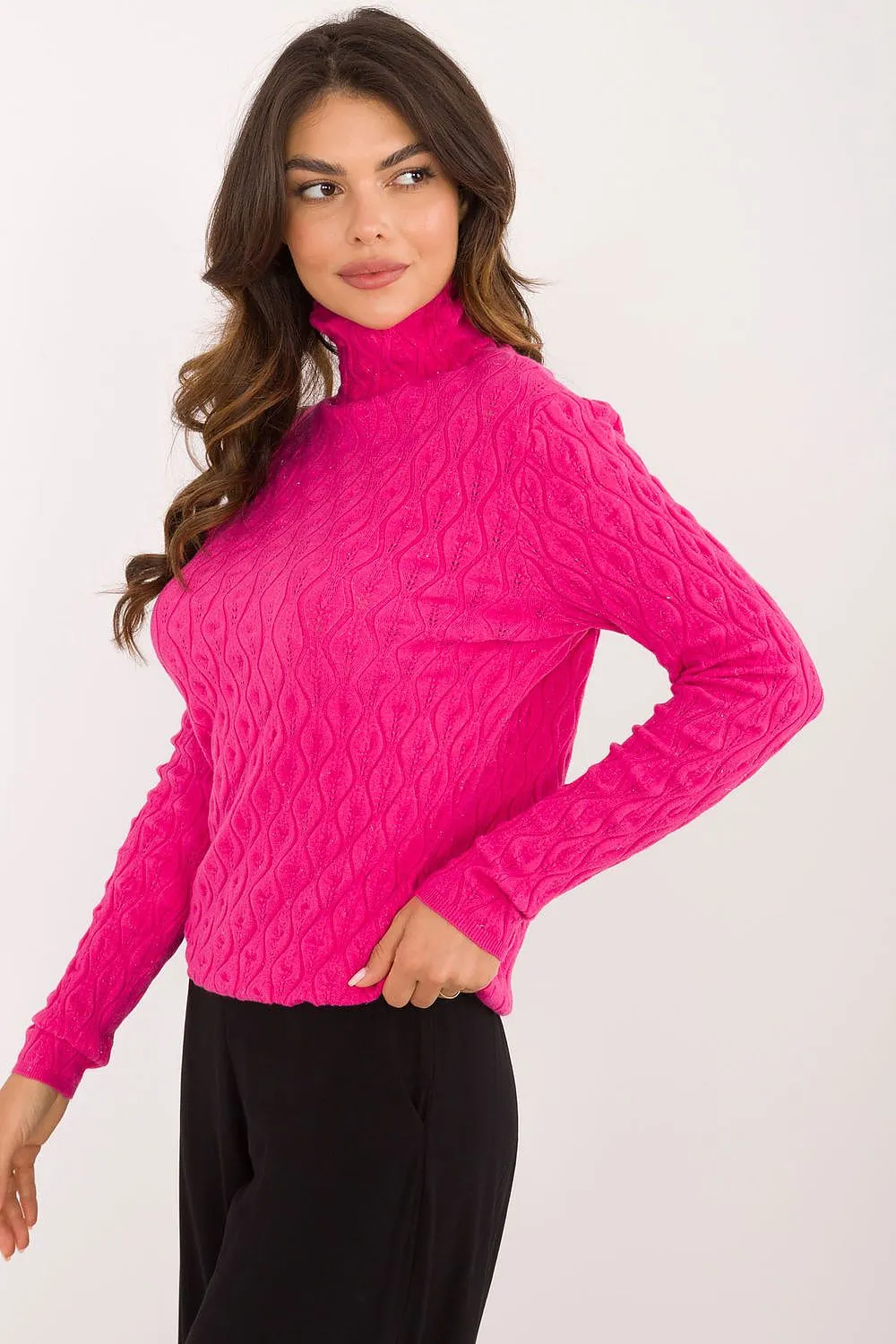 Turtleneck model 203196 AT