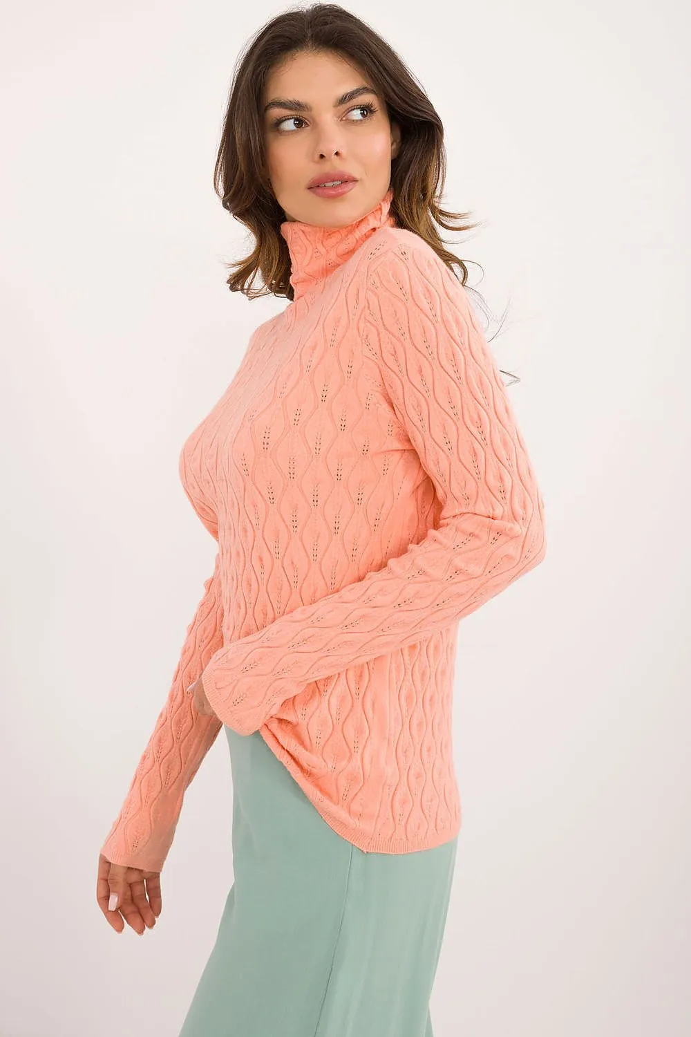 Turtleneck model 203196 AT