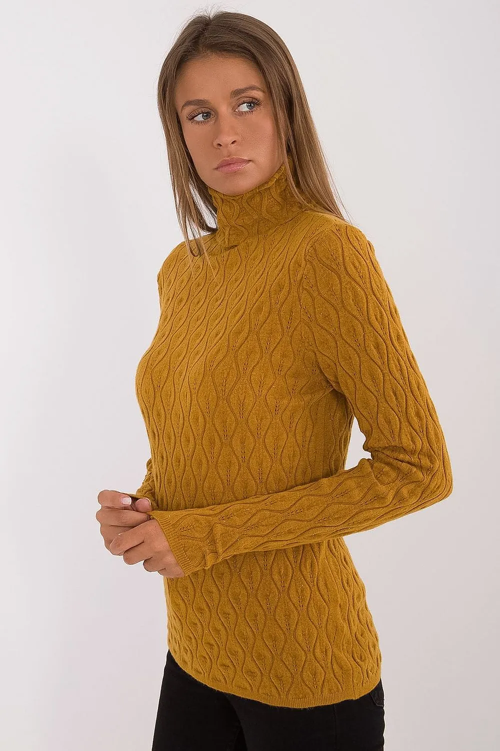 Turtleneck model 203196 AT