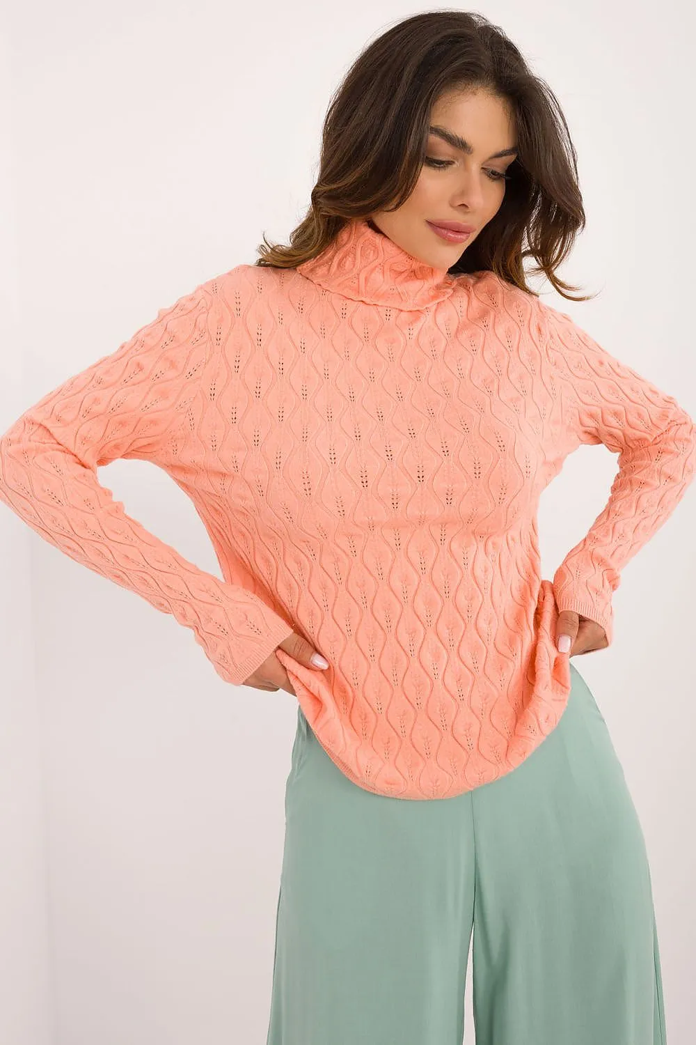 Turtleneck model 203196 AT